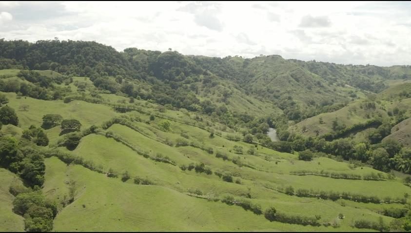 Montañas verdes