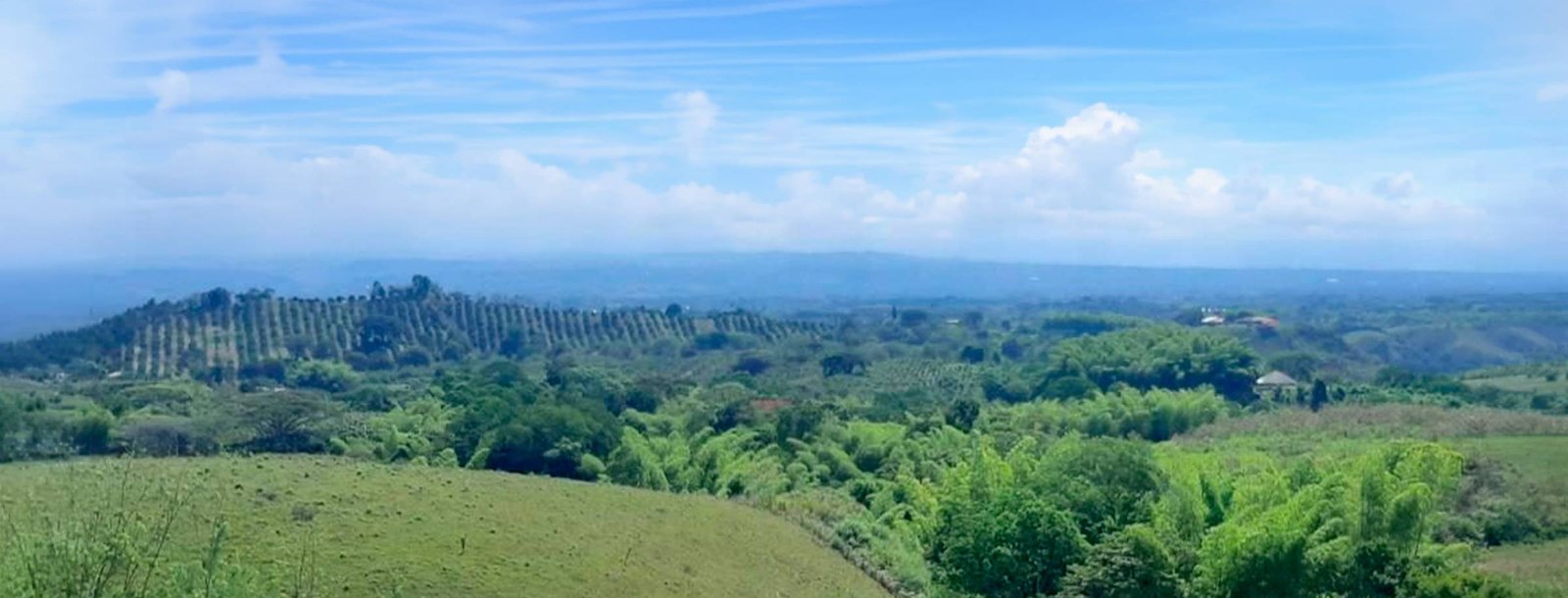 Panorámica desde el proyecto